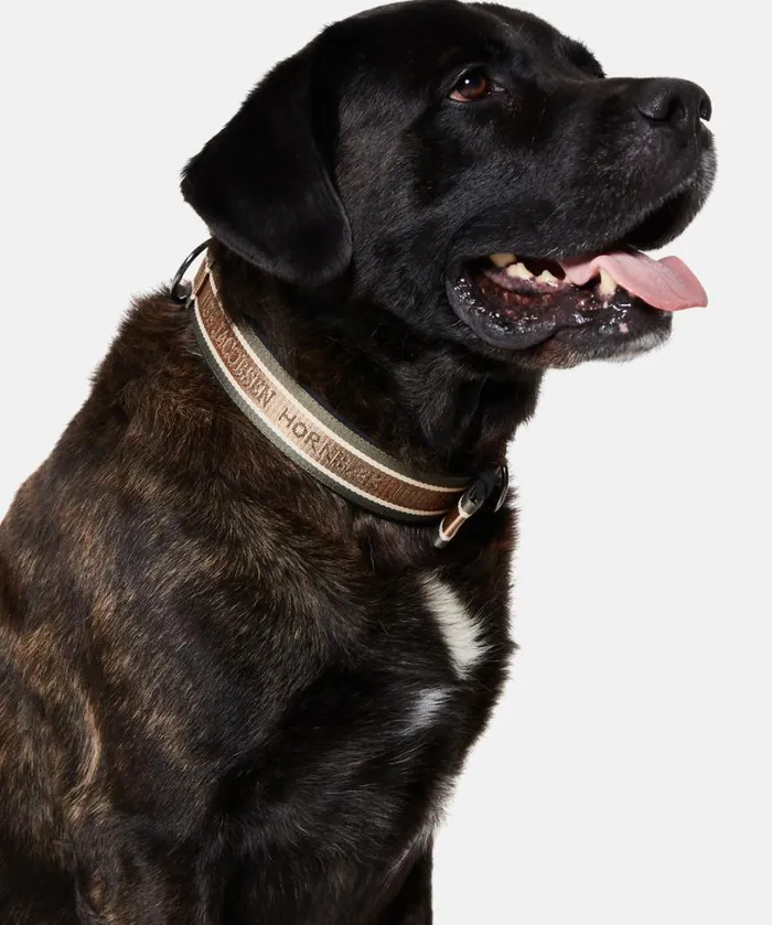 Dog Collar Large 8211 Army Accessories Ilse Jacobsen Vov and Vuf
