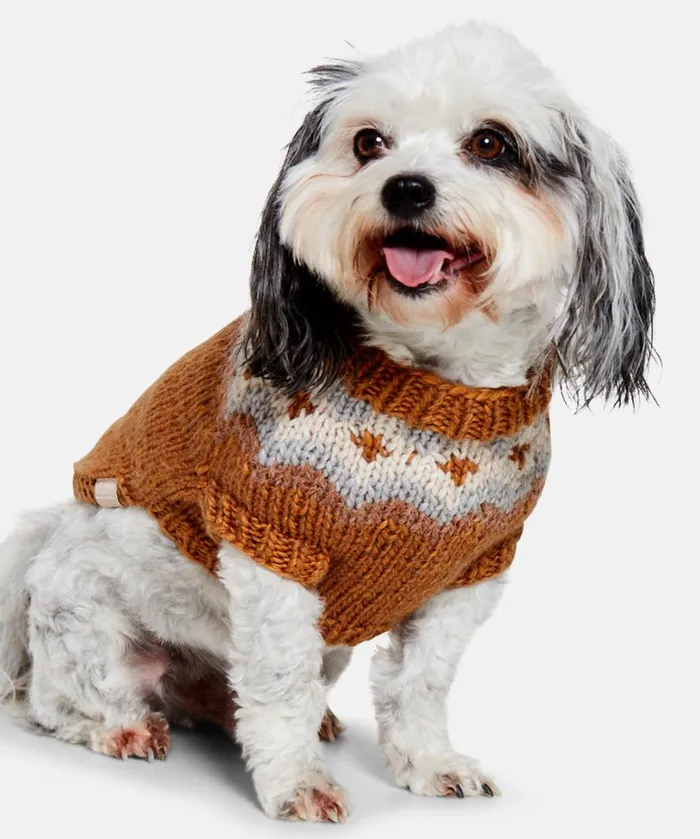 Dog Knit MediumLarge 8211 Rust Accessories Ilse Jacobsen Vov and Vuf