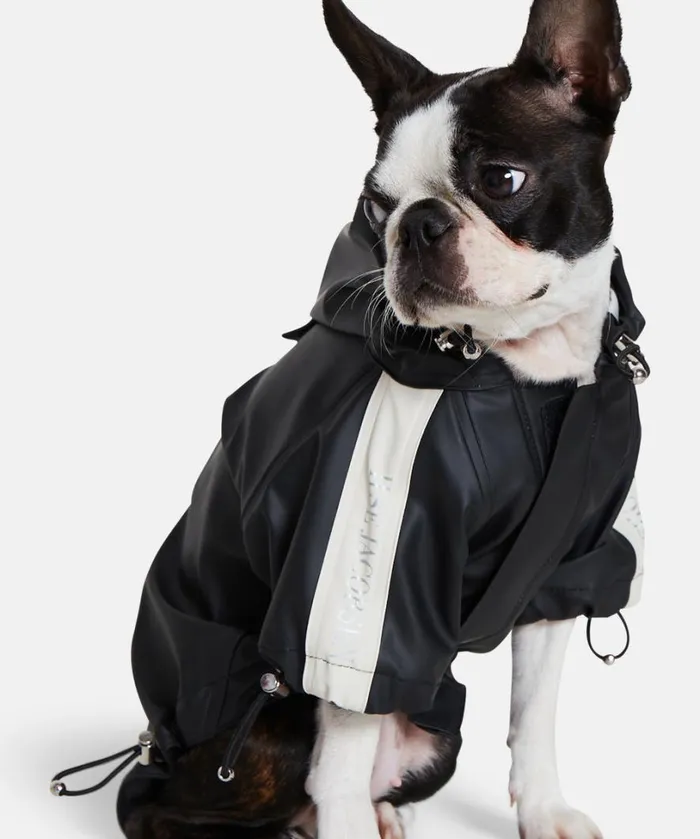 Dog Rain Cover 8211 Black Accessories Ilse Jacobsen Vov and Vuf
