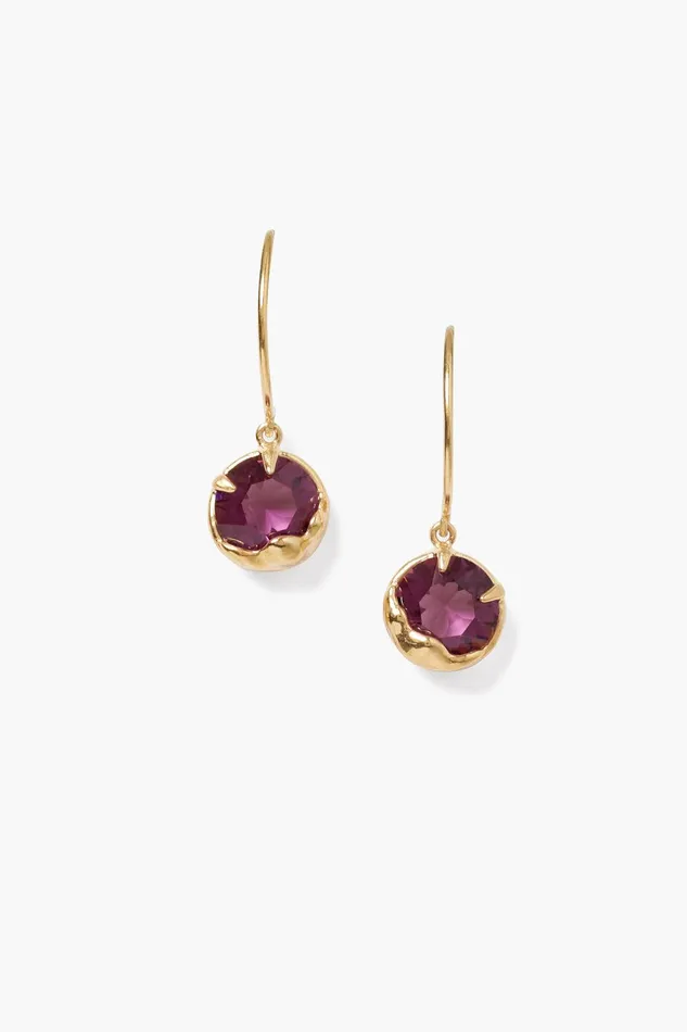 February Birthstone Earrings Amethyst Crystal Women Chan Luu Earrings