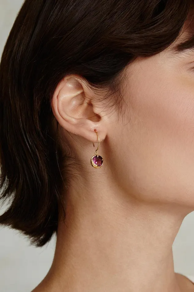 February Birthstone Earrings Amethyst Crystal Women Chan Luu Earrings
