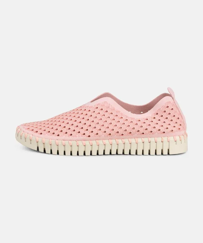 Flats 8211 Adobe Rose Shoes Ilse Jacobsen Tulip Flats Flats 8211 Adobe Rose Shoes Ilse Jacobsen Tulip Flats