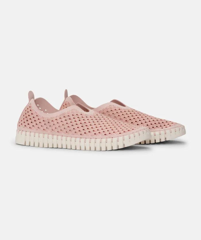 Flats 8211 Adobe Rose Shoes Ilse Jacobsen Tulip Flats Flats 8211 Adobe Rose Shoes Ilse Jacobsen Tulip Flats