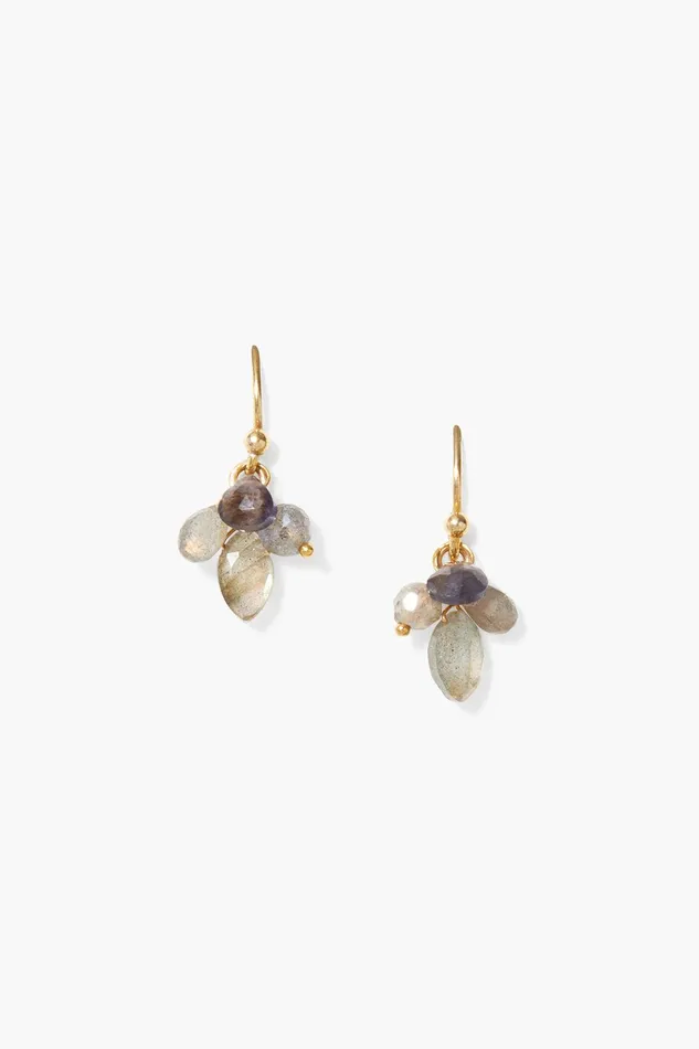 Hila Earrings Labradorite Mix Women Chan Luu Earrings