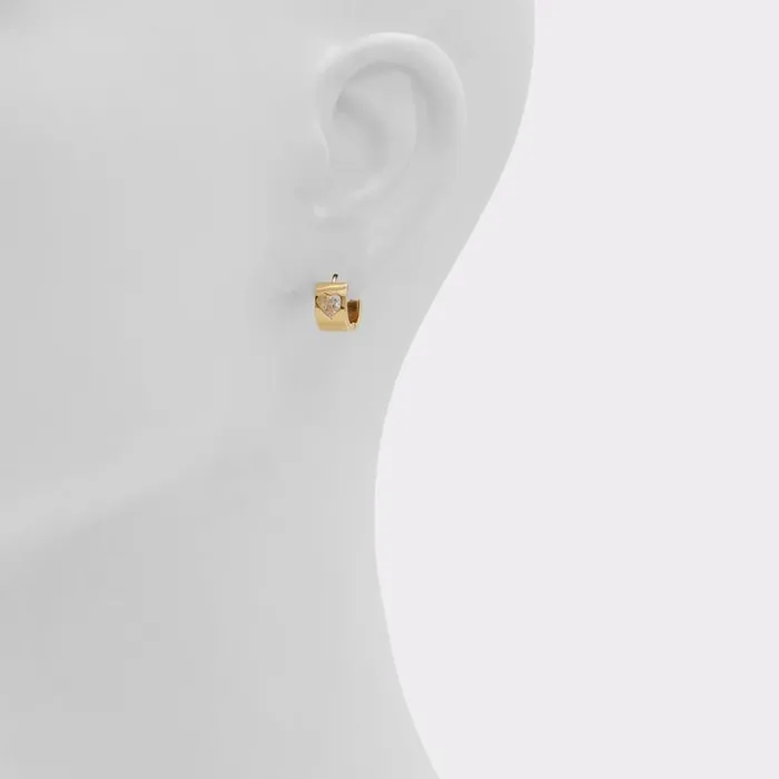 Jewelry Women ALDO Harthoop Hoop Earrings
