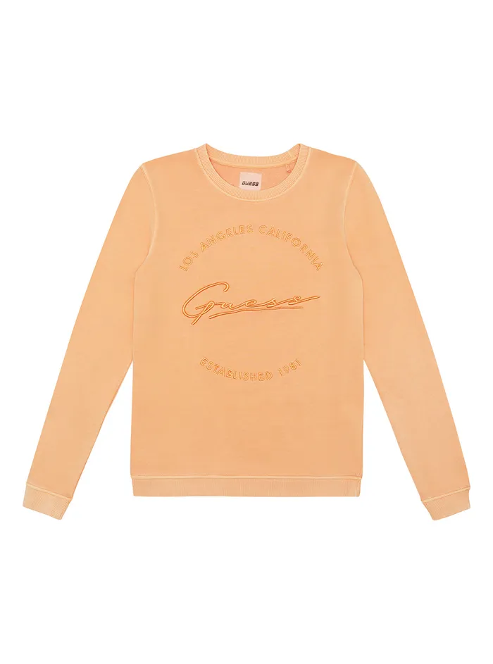 Kids Big Girl GUESS Prairie Sunset Active Tshirt 816