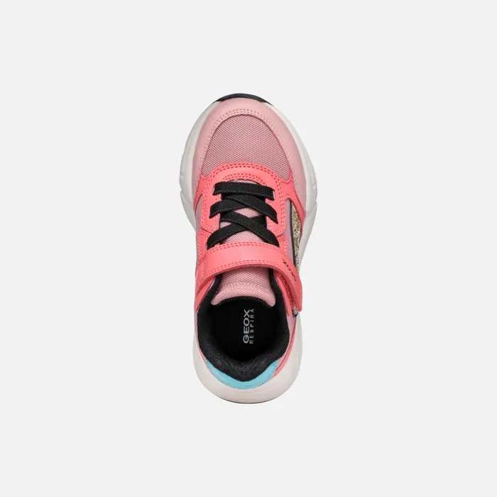 Kids Geox Sneakers LOFTUS GIRL Dark CoralLight Pink Low Top Sneakers Dark Corallight Pink