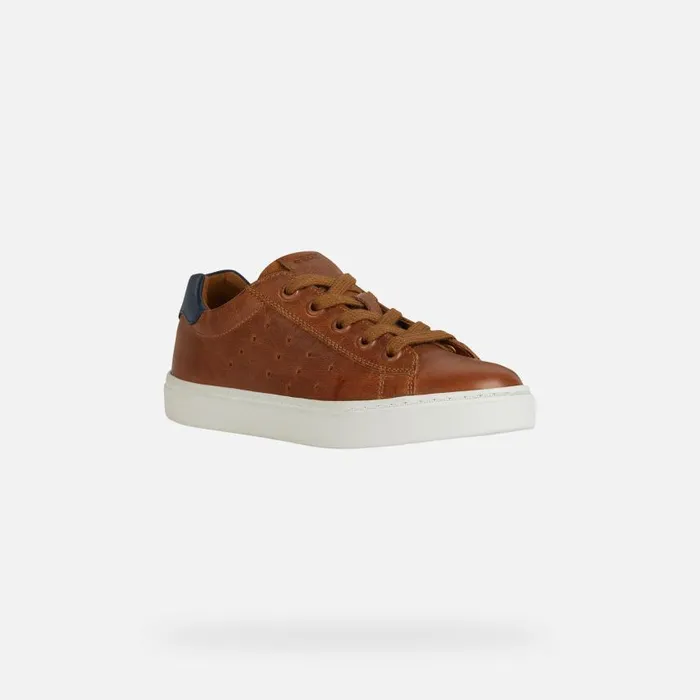 Kids Geox Sneakers NASHIK Kids039s Cognac Low Top Sneakers Geox Cognacnavy
