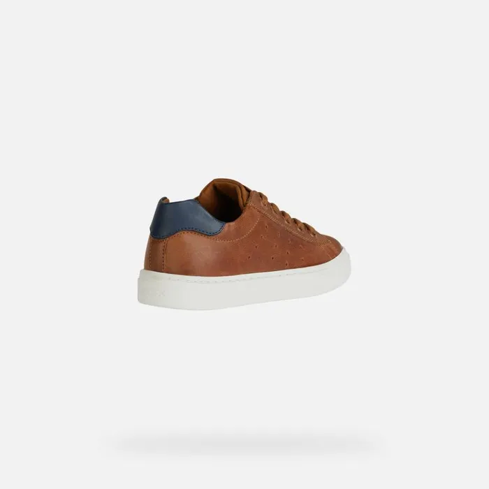 Kids Geox Sneakers NASHIK Kids039s Cognac Low Top Sneakers Geox Cognacnavy