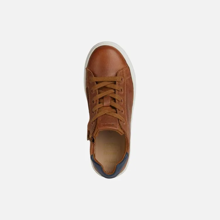 Kids Geox Sneakers NASHIK Kids039s Cognac Low Top Sneakers Geox Cognacnavy