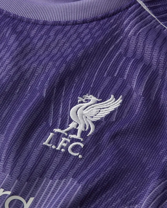 Kids Nike All Clothing Liverpool FC 202324 Third Space Purplewhite