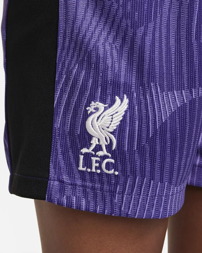 Kids Nike All Clothing Liverpool FC 202324 Third Space Purplewhite