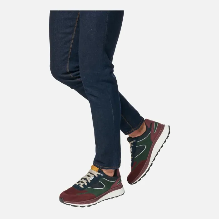 Man Geox Sneakers SPHERICA ACTIF X1 ABX MAN WineDark Green Low Top Sneakers Winedark Green