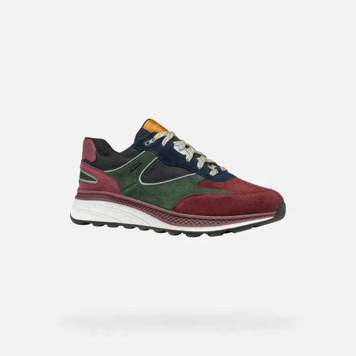 Man Geox Sneakers SPHERICA ACTIF X1 ABX MAN WineDark Green Low Top Sneakers Winedark Green