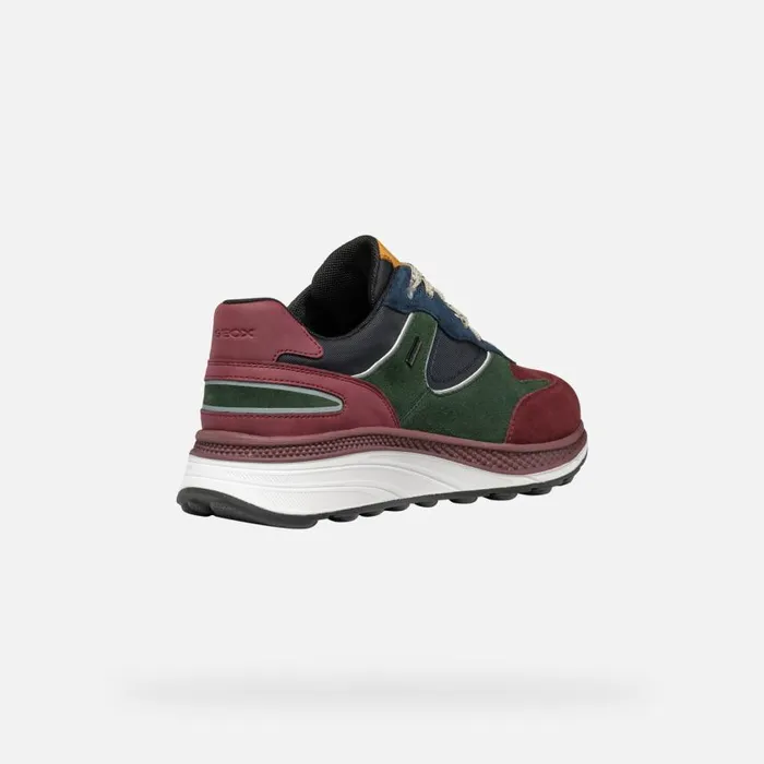 Man Geox Sneakers SPHERICA ACTIF X1 ABX MAN WineDark Green Low Top Sneakers Winedark Green