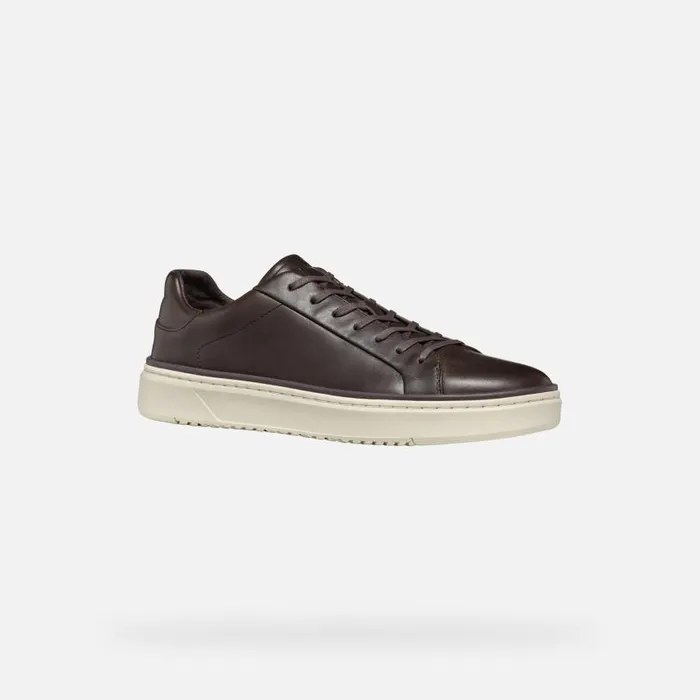 Man Geox Sneakers ZACKERTY MAN Coffee Low Top Sneakers Coffee