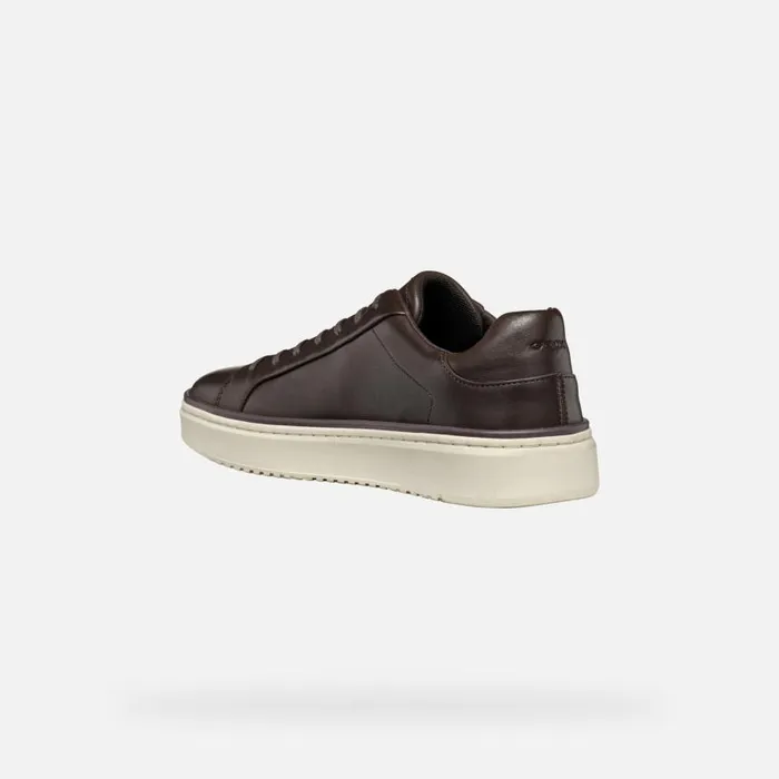 Man Geox Sneakers ZACKERTY MAN Coffee Low Top Sneakers Coffee