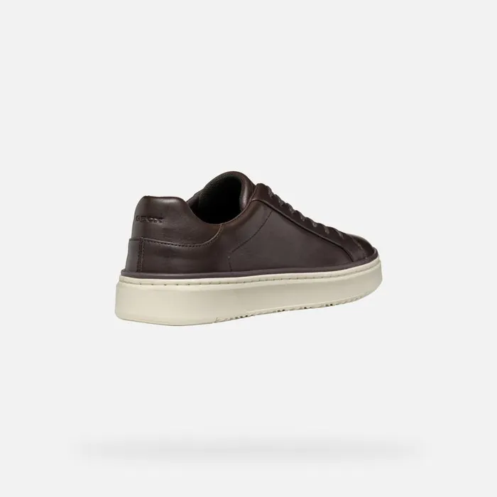Man Geox Sneakers ZACKERTY MAN Coffee Low Top Sneakers Coffee
