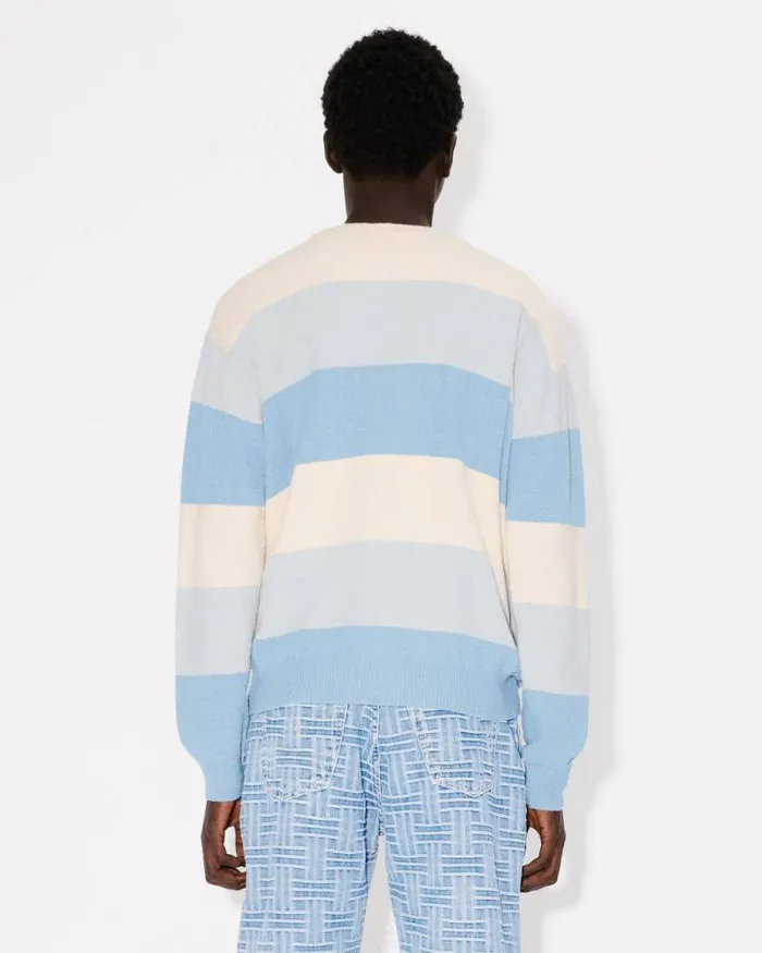 Men Embroidered Stripes Cardigan In Cotton Blend Sky Blue Kenzo Sweaters And Cardigans