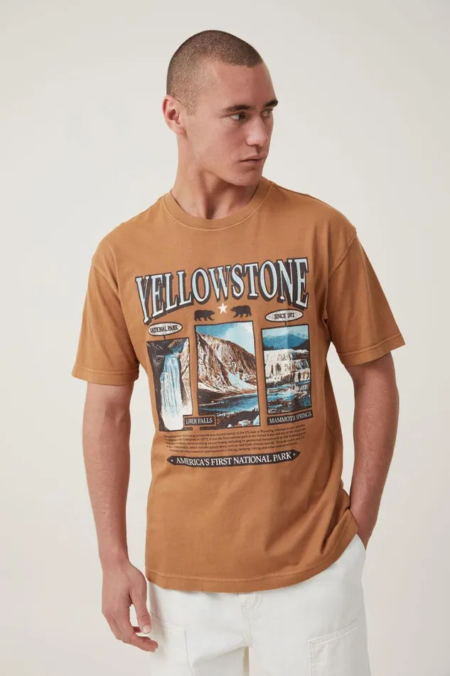Men Graphic TShirts Cotton On Premium Loose Fit Art TShirt Gingeryellowstone Geyser