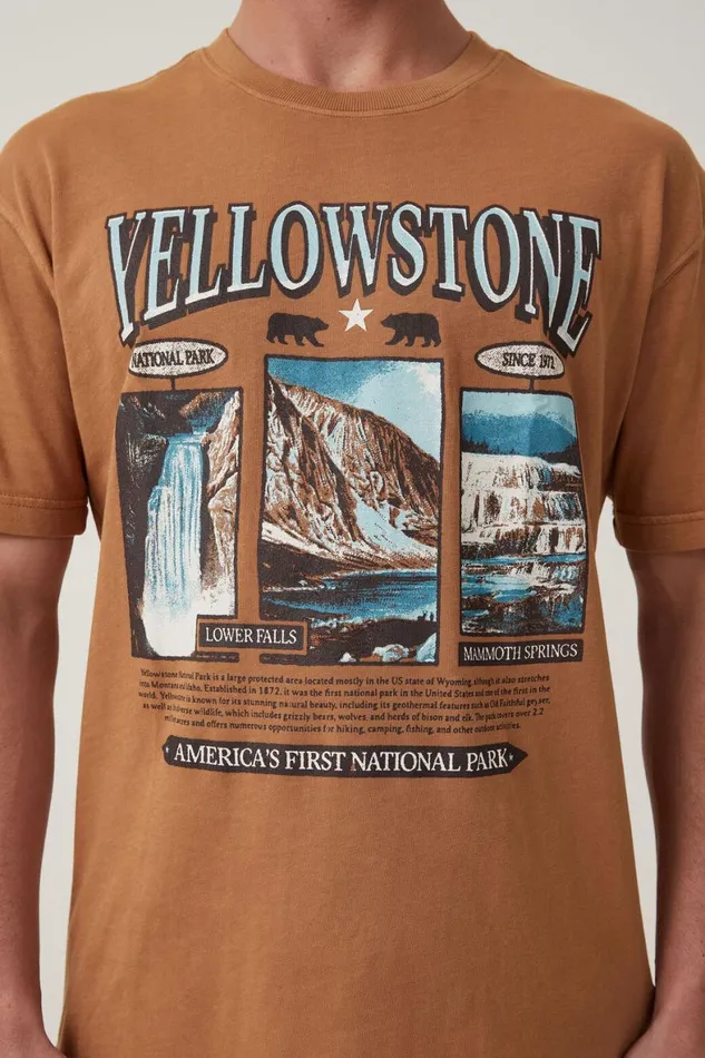 Men Graphic TShirts Cotton On Premium Loose Fit Art TShirt Gingeryellowstone Geyser