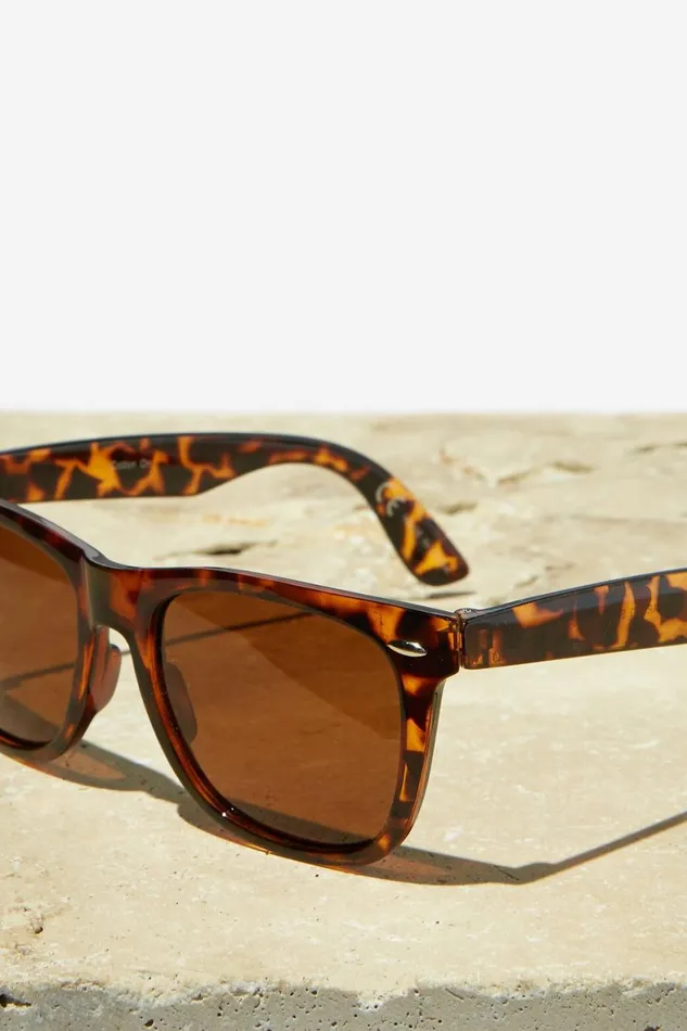 Men Sunglasses Cotton On Beckley Polarized Sunglasses Tortbrown