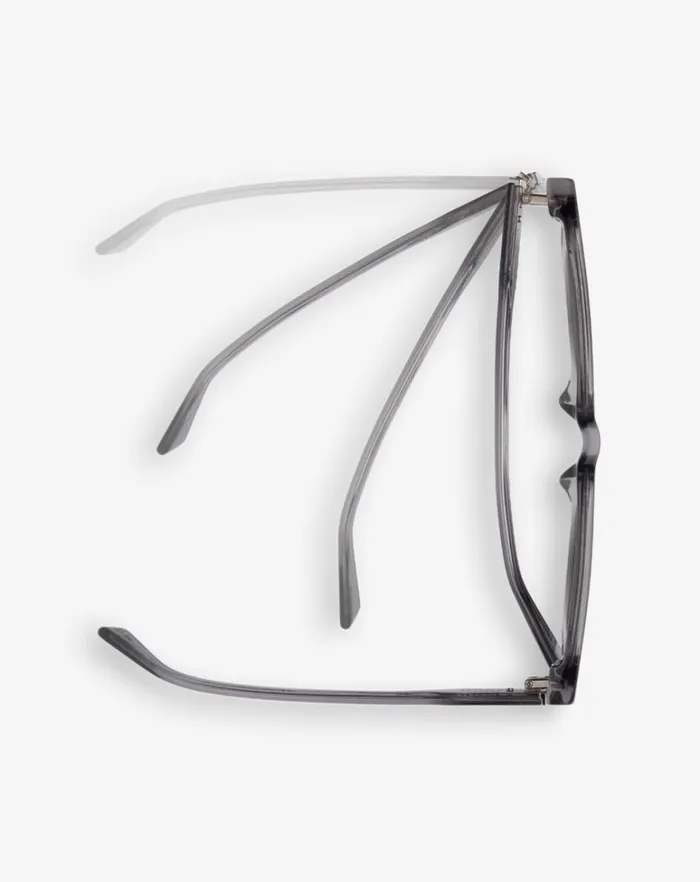 MenWomen Sunglasses TravisMathew OFFDAZE SUNGLASSES Translucent Grey Grey Polar