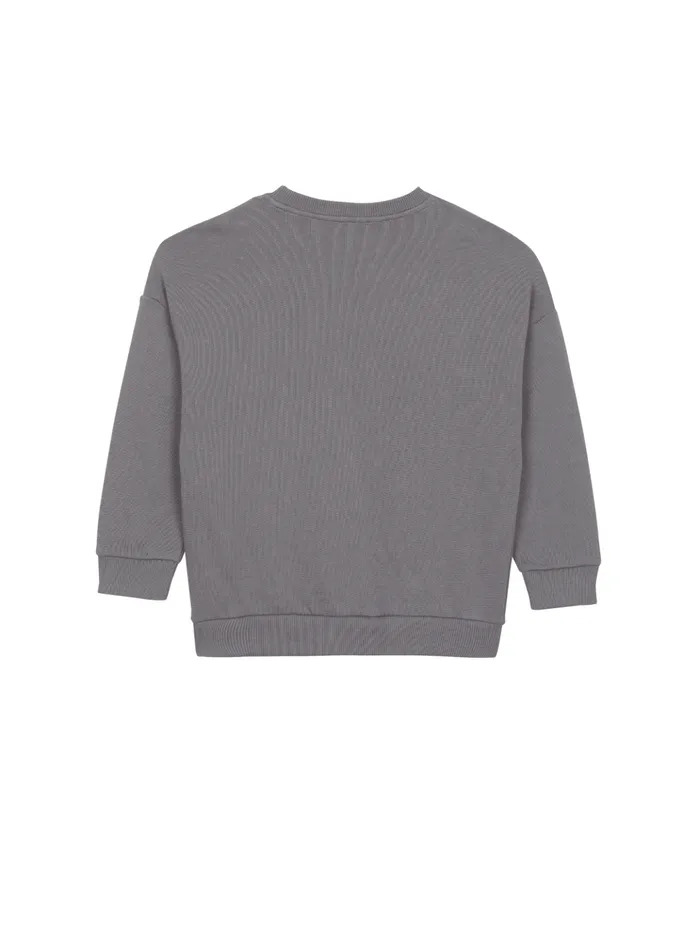 Roman Sweatshirt Grey Kids Balmain