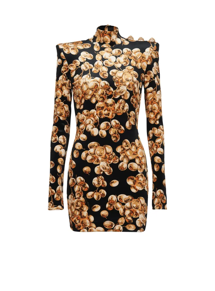 Short Velvet Dress With Grape Print Gold Women Balmain Dresses
