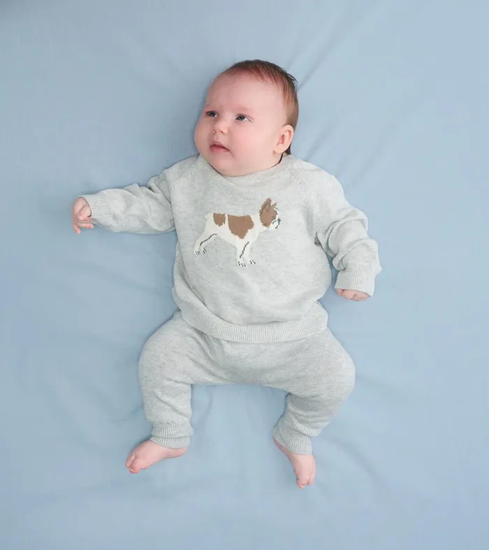 Sweaters Baby and Toddler Hatley Baby Boys Little Bulldog Pullover Sweater and Pants