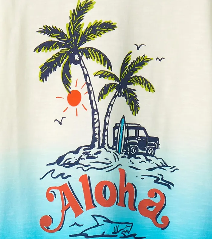 Tops Boys Hatley Boys Aloha Graphic Tee