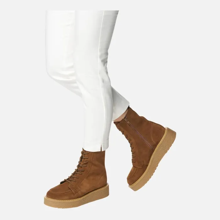 Woman Geox Ankle Boots ELIDEA WOMAN Dark Camel Combat Boots Dark Camel