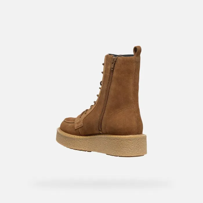 Woman Geox Ankle Boots ELIDEA WOMAN Dark Camel Combat Boots Dark Camel