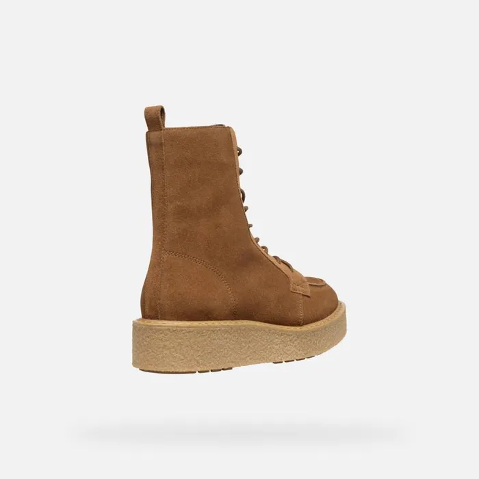 Woman Geox Ankle Boots ELIDEA WOMAN Dark Camel Combat Boots Dark Camel