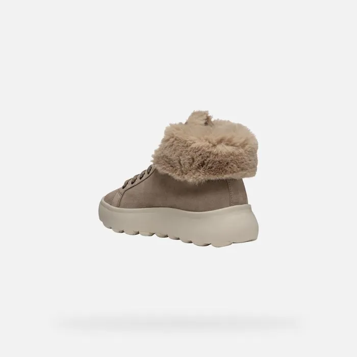 Woman Geox Sneakers SPHERICA EC41 WOMAN Taupe High Top Sneakers Taupe