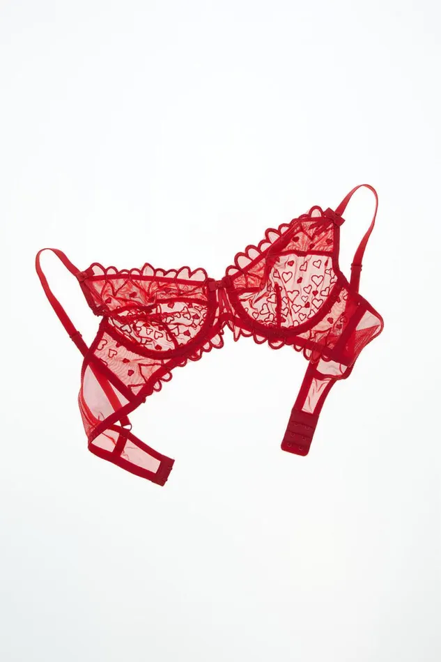 Women Bras Cotton On Sasha Embroidery Mesh Underwire Bra Scarlett Red