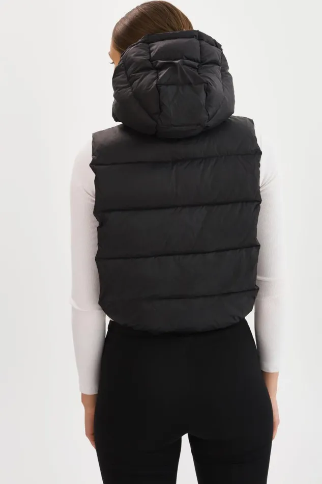 Women DELMA Quilted Nylon Dickey Black LAMARQUE Puffers