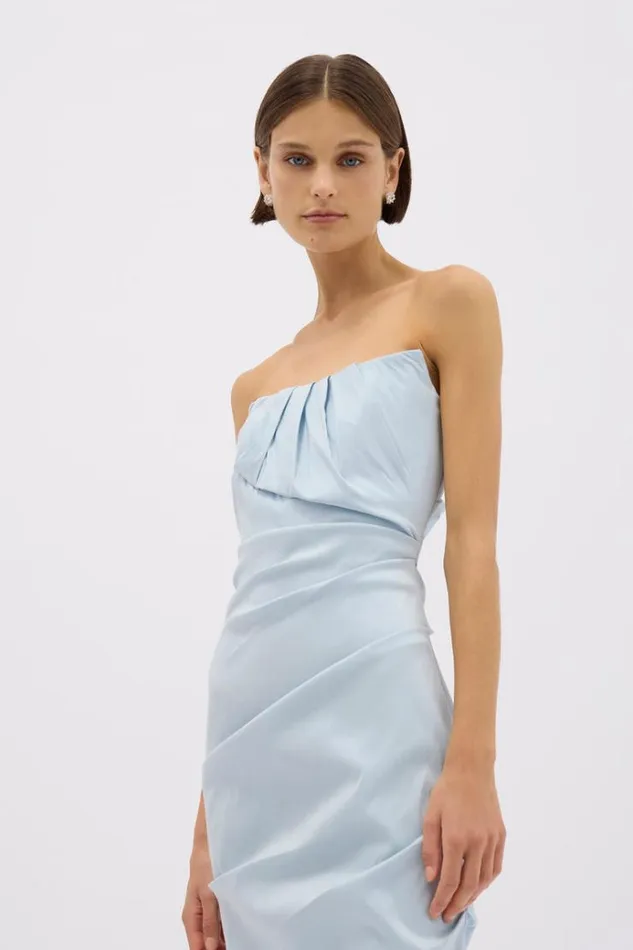 Women Maxi Dresses Rachel Gilbert SIENNA STRAPLESS GOWN