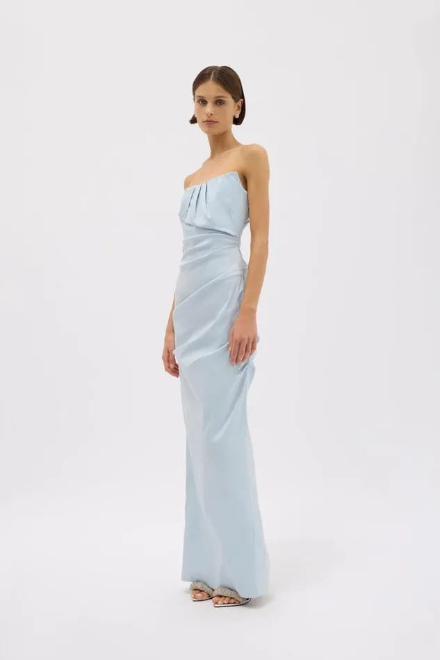 Women Maxi Dresses Rachel Gilbert SIENNA STRAPLESS GOWN