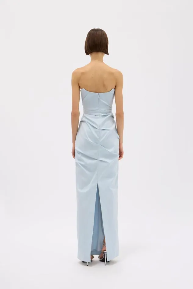 Women Maxi Dresses Rachel Gilbert SIENNA STRAPLESS GOWN