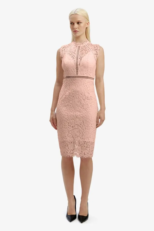 Women Occasion Dresses Bardot Lace Panel Dress In Pale Blush Pale Blush