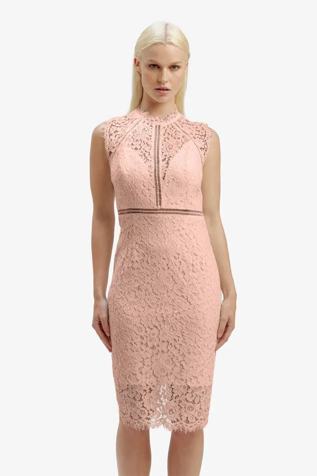 Women Occasion Dresses Bardot Lace Panel Dress In Pale Blush Pale Blush