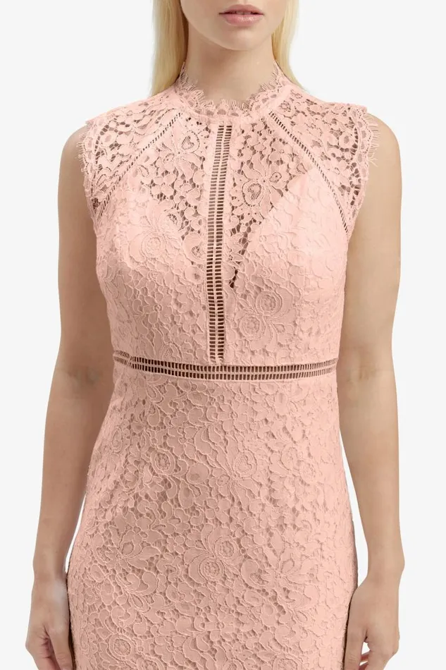 Women Occasion Dresses Bardot Lace Panel Dress In Pale Blush Pale Blush