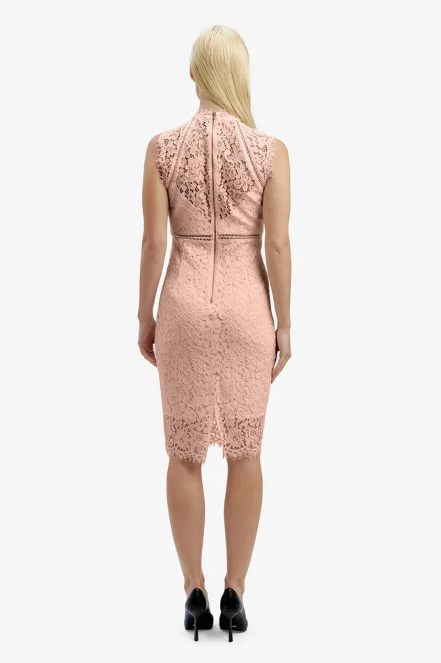 Women Occasion Dresses Bardot Lace Panel Dress In Pale Blush Pale Blush
