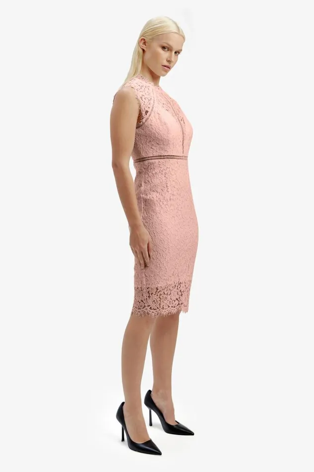 Women Occasion Dresses Bardot Lace Panel Dress In Pale Blush Pale Blush