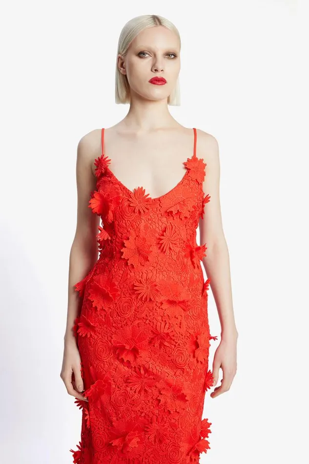 Women Party Dresses Bardot Adei Lace Midi Dress In Fire Red Fire Red