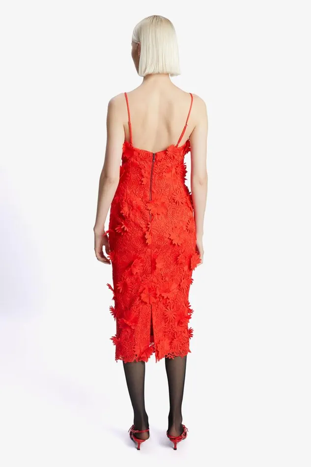 Women Party Dresses Bardot Adei Lace Midi Dress In Fire Red Fire Red
