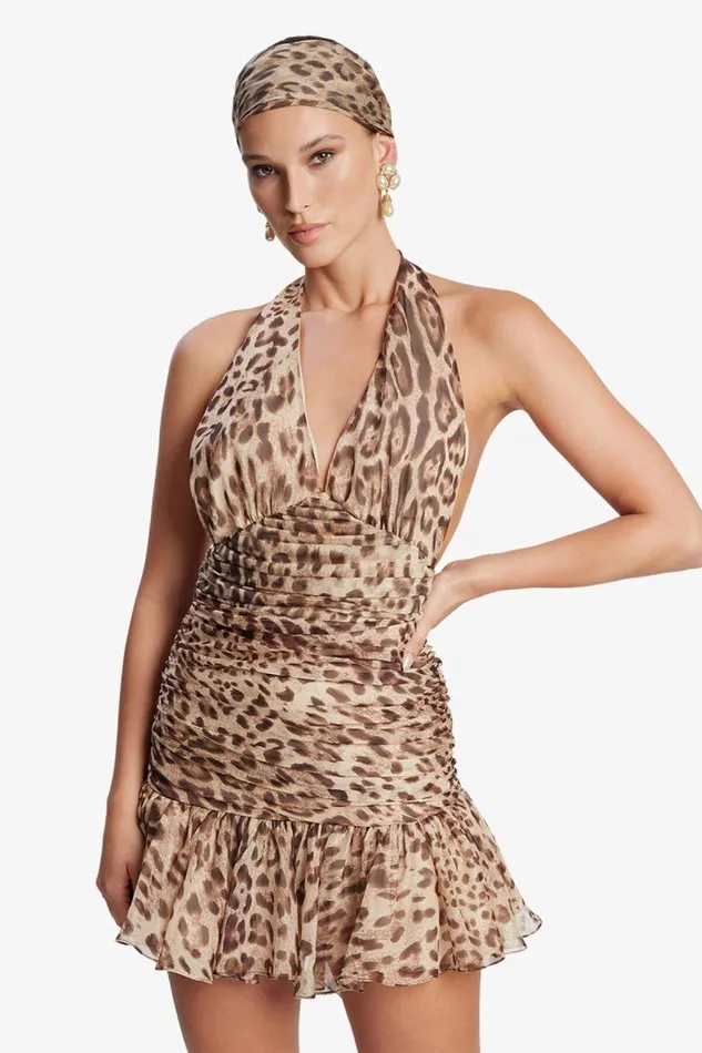 Women Party Dresses Bardot Mave Halter Neck Mini Dress In Brown Leopard Brown Leopard Women Party Dresses Bardot Mave Halter Neck Mini Dress In Brown Leopard Brown Leopard